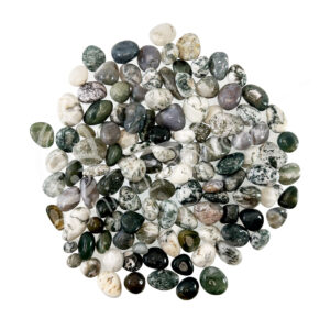 Green Moss and Tree Agate Tumbled Stones