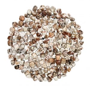 Pink Zebra Jasper Tumbled Stones
