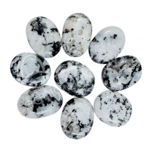 Polished Rainbow Moonstone Palm Stone