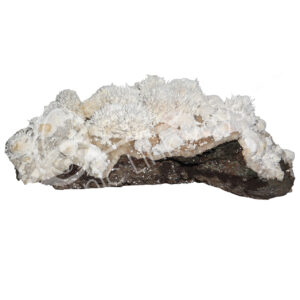(CLOSE OUT) SPECIMEN - MORDENITE WITH SCOLECITE 27 X 9"