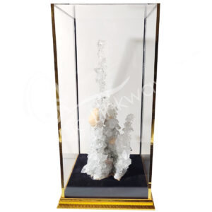 (CLOSE OUT) SPECIMEN - APOPHYLLITE IN ACRYLIC DISPLAY 12"