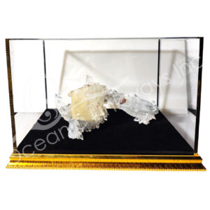 (CLOSE OUT) SPECIMEN - APOPHYLLITE IN ACRYLIC DISPLAY 12"