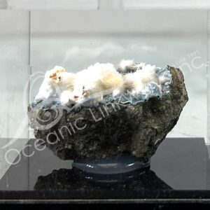 (CLOSE OUT) SPECIMEN - OKENITE ON CHALCEDONY IN ACRYLIC BOX 2-3"