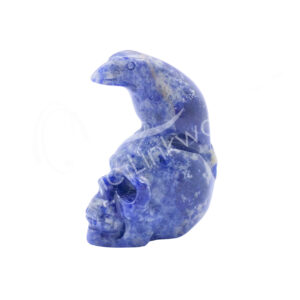 Sodalite Raven on Skull Carving