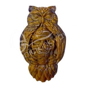 Tiger Eye Owl with Skull Carving