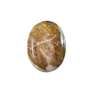 Polished Bumble Bee Neo Jasper Palm Stone