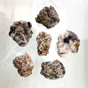 (CLOSE OUT) CLUSTER - EPIDOTE (8/12/24 PCS FLAT)