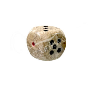 Fossil Coral Dice 1"