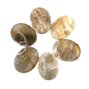 Dendritic Opal Worry Stones