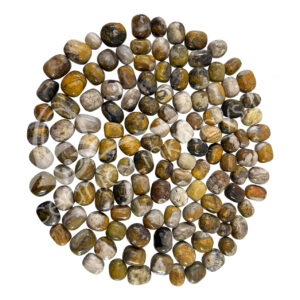 TUMBLED STONES - JASPER, BUMBLE BEE NEO 20-30 MM