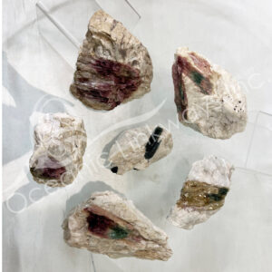 (CLOSE OUT) SPECIMEN - TOURMALINE, BICOLOR 3-6"