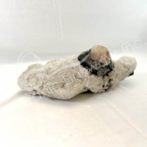 SPECIMEN - ALBITE WITH GREEN MICA 16"L X 10"W