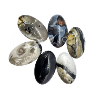Polished Volcano Agate Palm Stone