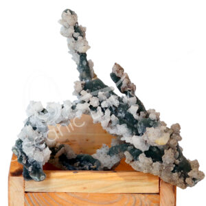SPECIMEN - CHALCEDONY, CORAL & QUARTZ ON WOOD STAND 8.5 X 6 X 8"