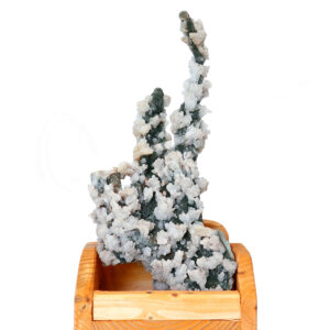 SPECIMEN - CHALCEDONY, CORAL & QUARTZ ON WOOD STAND 13 X 5 X 6.5"