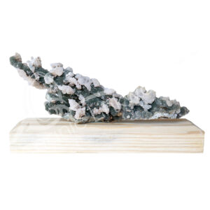 SPECIMEN - CHALCEDONY, CORAL & QUARTZ ON WOOD STAND 11 X 6 X 3"