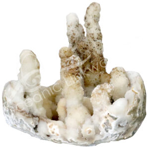 SPECIMEN - CORAL CHALCEDONY 14 X 14 X 11"