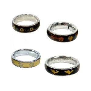 Stainless Steel Rings Mixed Sizes