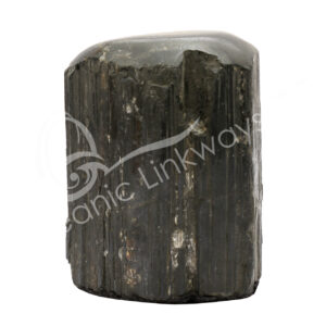 Black Tourmaline Standing and Top Polished Free Shape