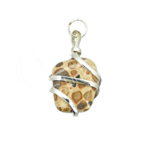Leopard Skin Jasper Wire Wrapped Tumbled Stone Pendant