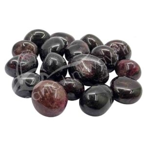 Garnet Ex Tumbled Chips
