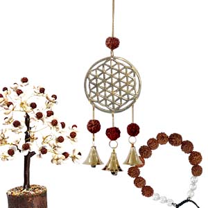 Rudraksha