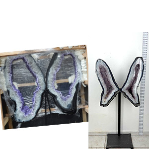 Butterflies